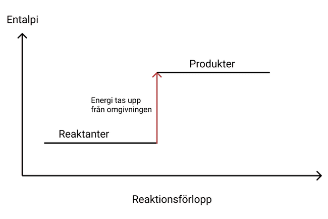 endoterm reaktion endoterm reaktion