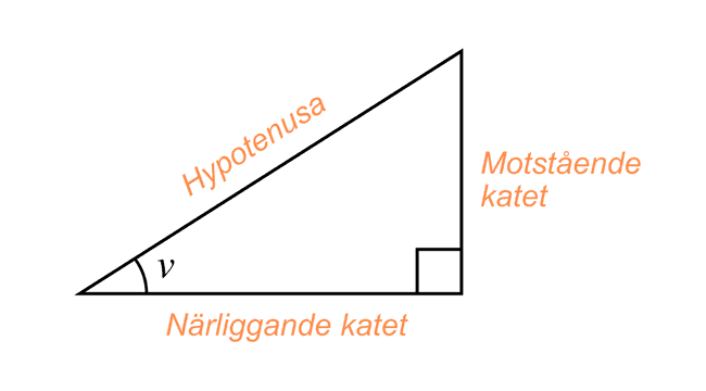 Triangel med hypotenusa och katetrar markerade